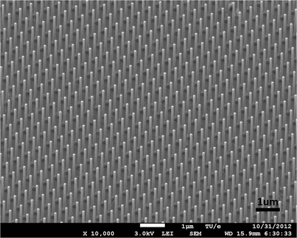 Een 'array' van nanodraden in de zonnecel. Credit: TU Eindhoven